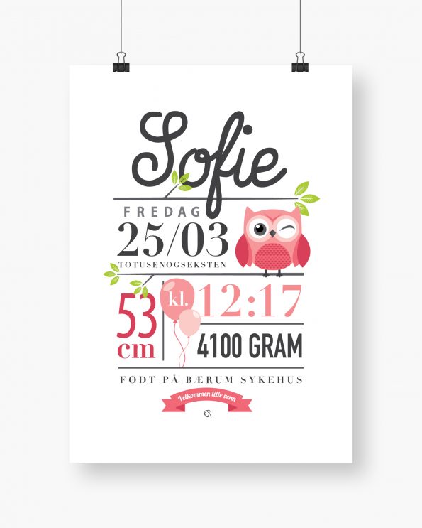Fødselsplakat Rosa