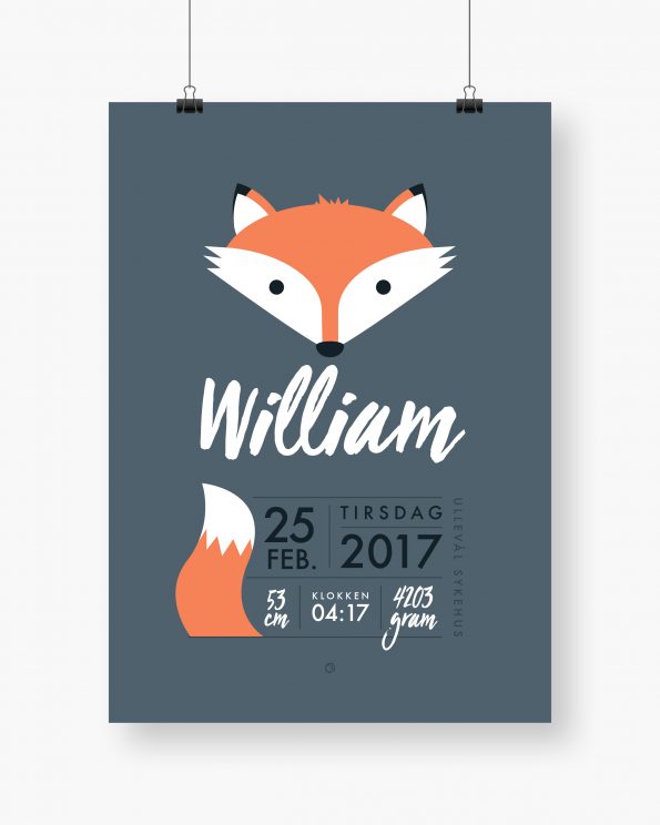 Minimals Fox - Blue