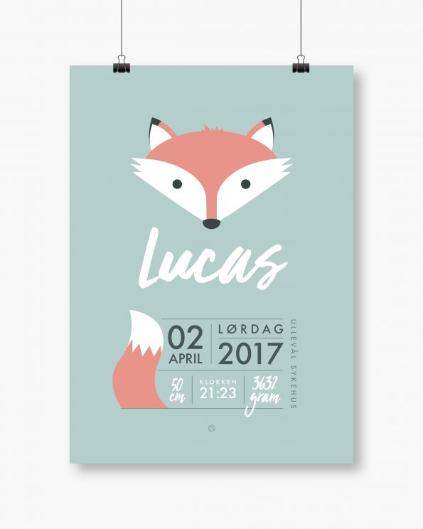 Minimals Fox - Aqua