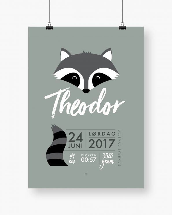 Minimals Raccoon - Mint
